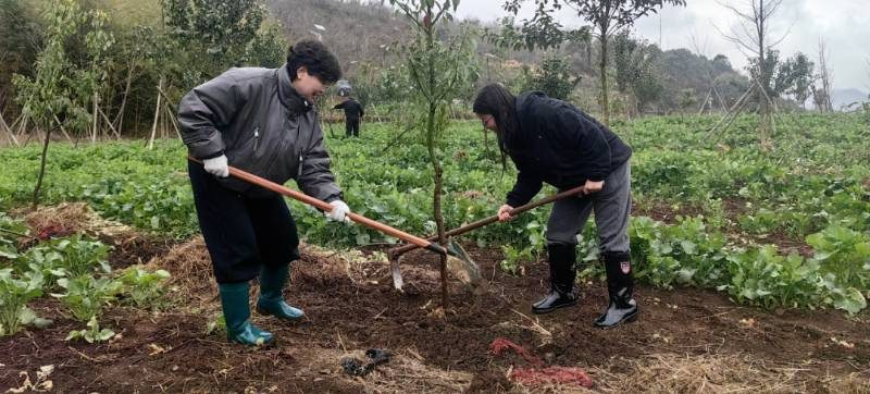 1772086667667536.jpg 1.jpg