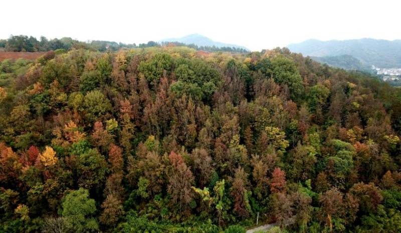 1772086674491540.jpg 2.jpg