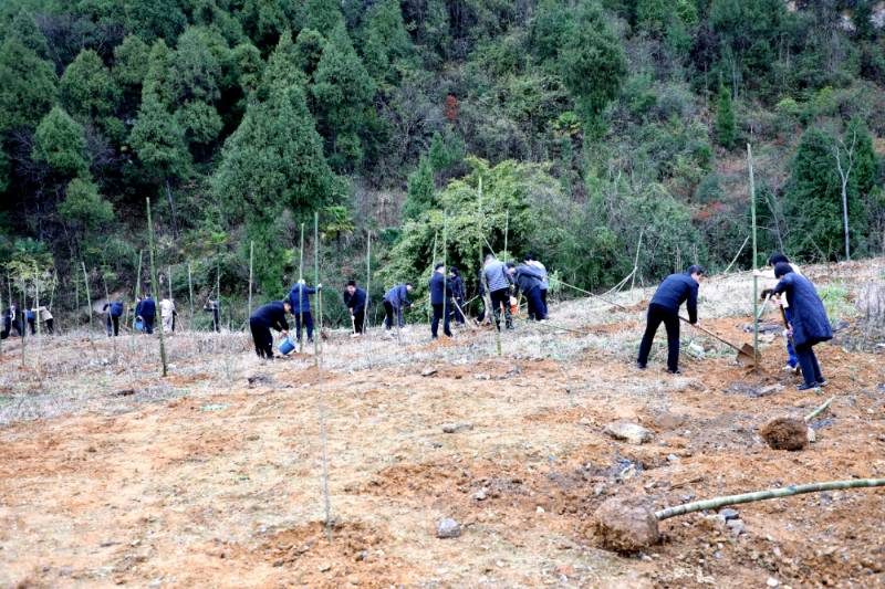 1772436886760040.jpg 10.jpg