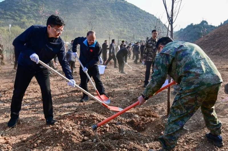 1772437009419945.jpg 12.jpg