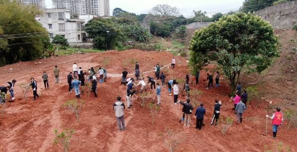 1772499410282916.jpg 2.jpg