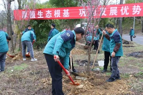 1772499632534891.jpg 3.jpg