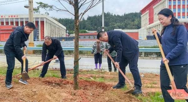 1772499840800697.jpg 5.jpg