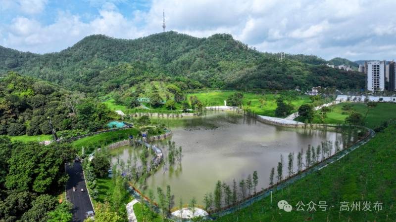 1772500539700206.jpg 17.jpg