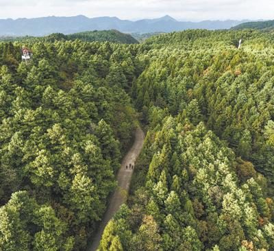 1772528561420242.jpg 2.jpg