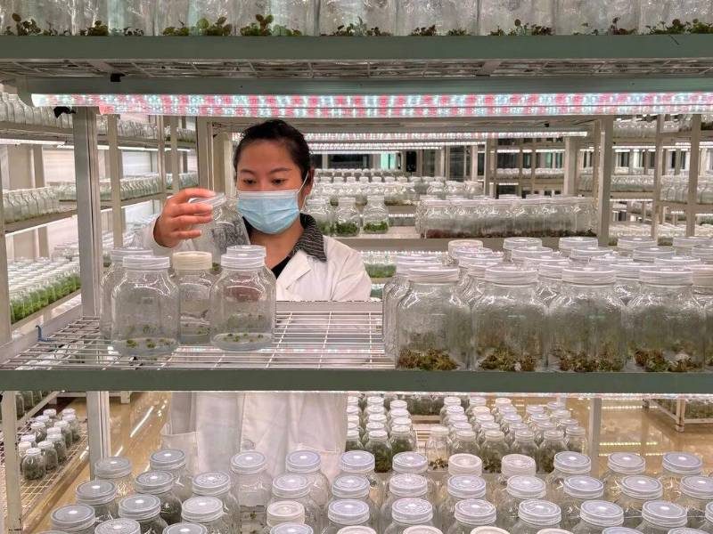 1772606384646722.jpg 11.jpg