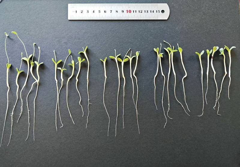 1775716239504105.jpg 1 (1).jpg